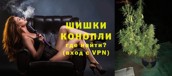 spice Елизово