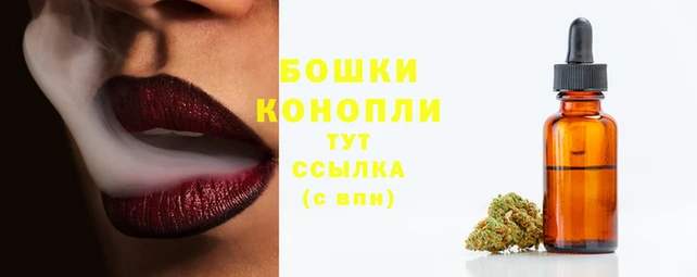 spice Елизово