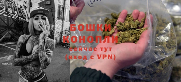 spice Елизово