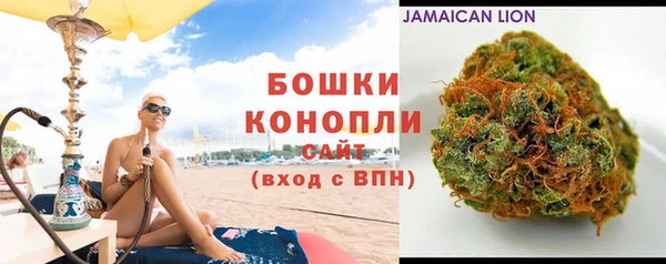 spice Елизово