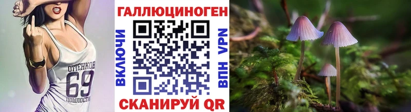 наркотики  Златоуст  Псилоцибиновые грибы Cubensis 