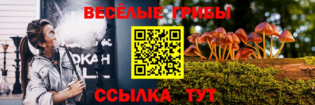 Псилоцибиновые грибы мухоморы Златоуст