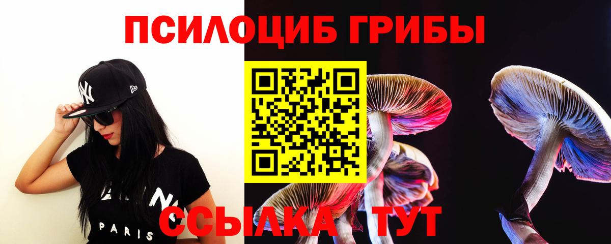 Галлюциногенные грибы Psilocybine cubensis  Вход с VPN  Златоуст 